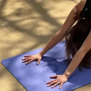 Sessions accessibles